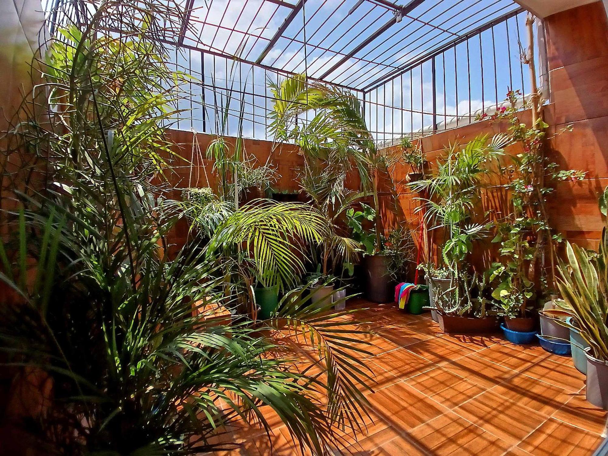 Casa Del Chef Lupita Villa Campeche Exteriör bild